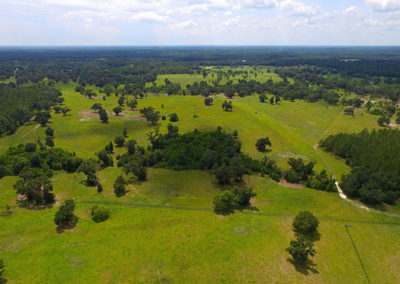 Land for sale in Ocala, fl